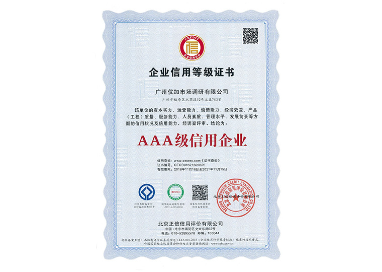 AAA Credit Enterprises