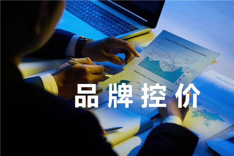 电商控价 价格管控 品牌控价 渠道控价 价格管理 合作商代理商管理 价格监测 购物 (12).jpg
