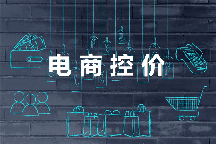 电商控价 价格管控 品牌控价 渠道控价 价格管理 合作商代理商管理 价格监测 购物 (4) - 副本.jpg